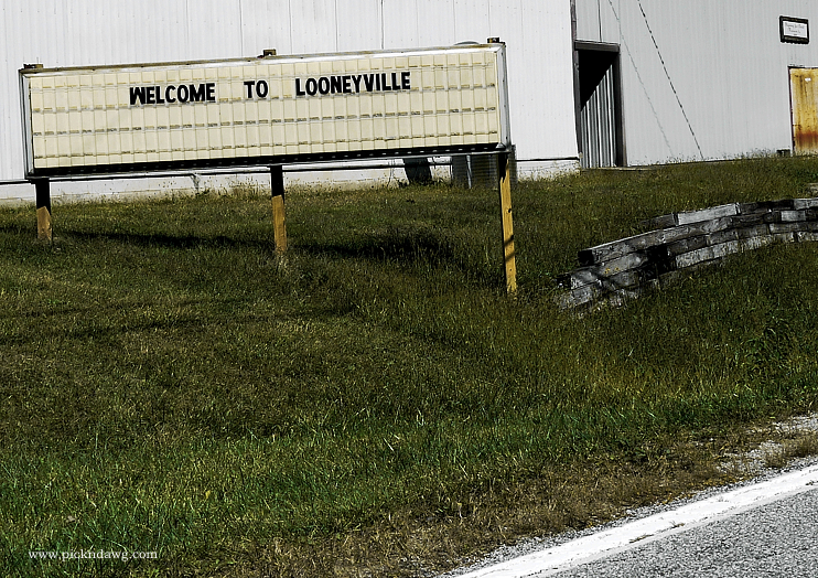 Looneyville West Virginia - pickndawg