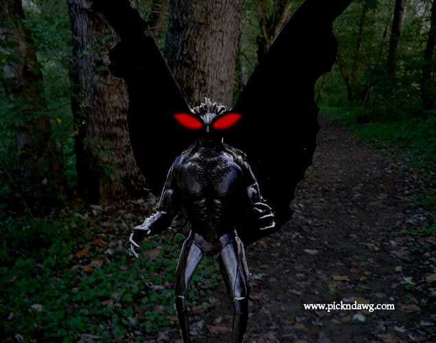 Mothman in the woods pickndawg