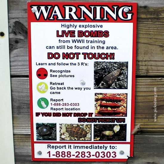 Live Bombs Dolly Sods - pickndawg