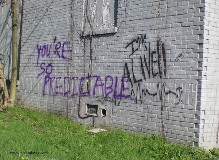 Graffiti So Predictable Alive pickndawg