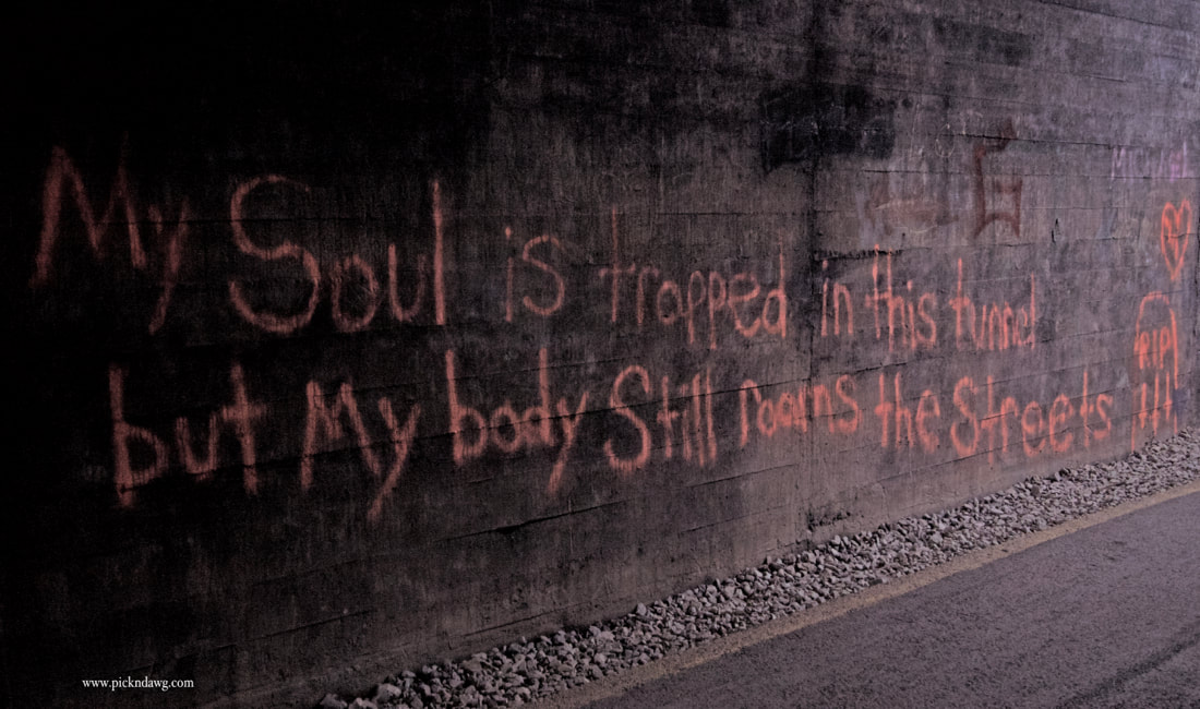 graffiti in Meredith Tunnel soul trapped pickndawg Dan Cunningham