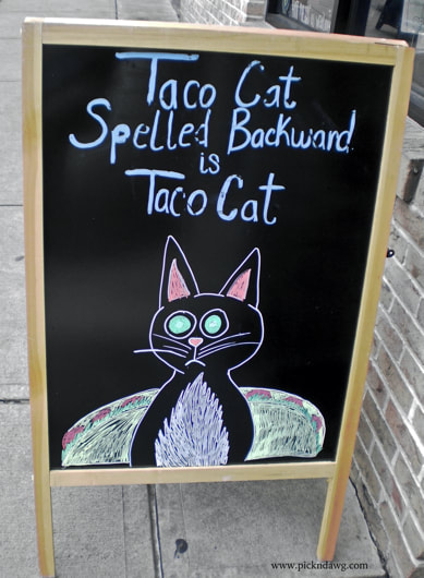 Taco Cat sign pickndawg